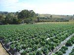 Paisagens do Paraná