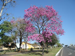 Paisagens do Paraná
