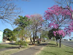 Paisagens do Paraná