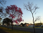 Paisagens do Paraná