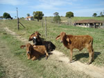 Paisagens do Paraná